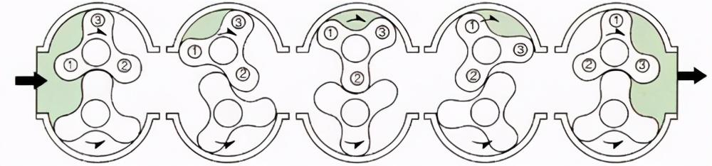 三葉羅茨鼓風機內部結構圖