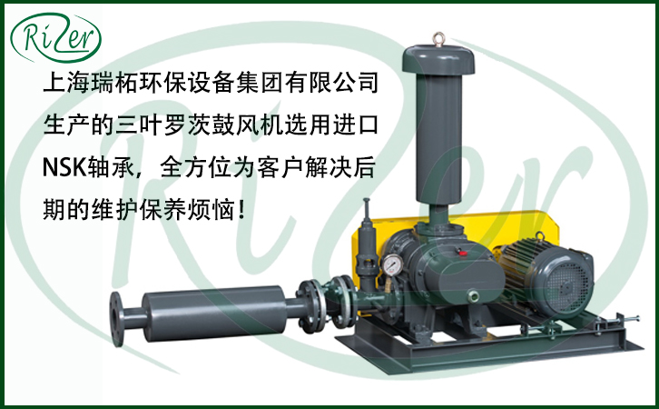 瑞柘羅茨鼓風機