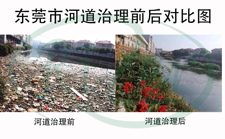 水生態環境修復治理