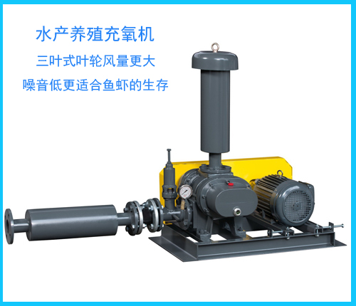 羅茨風機充氧設備