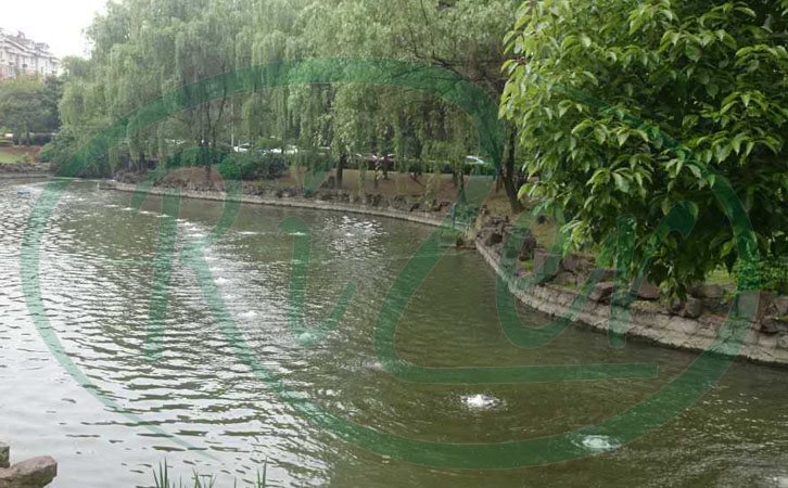 赭山港河道生態治理案例