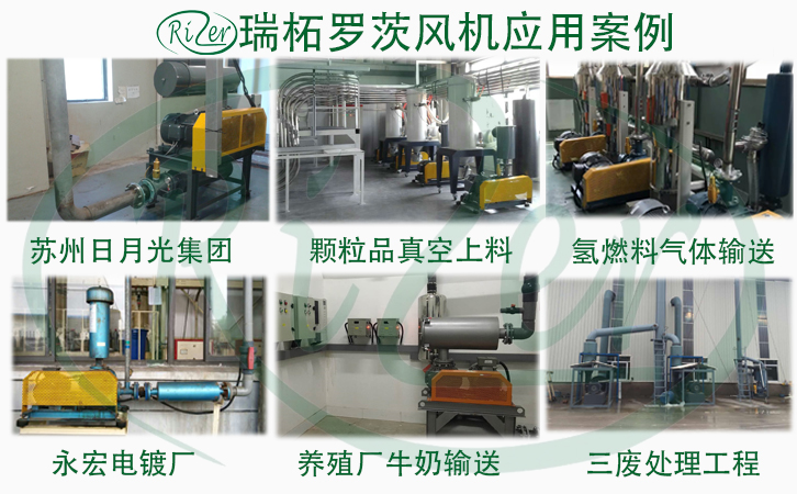 瑞柘羅茨鼓風機并聯施工案例