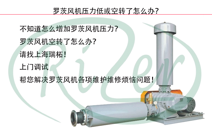 瑞柘羅茨風機