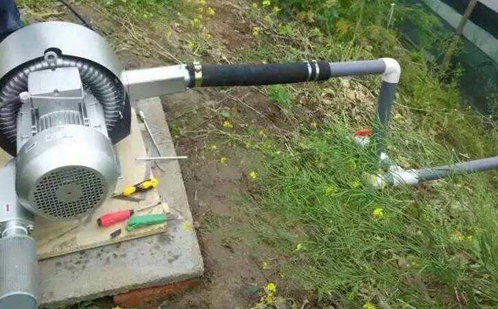 人工養殖泥鰍需要注意哪些技術和方法