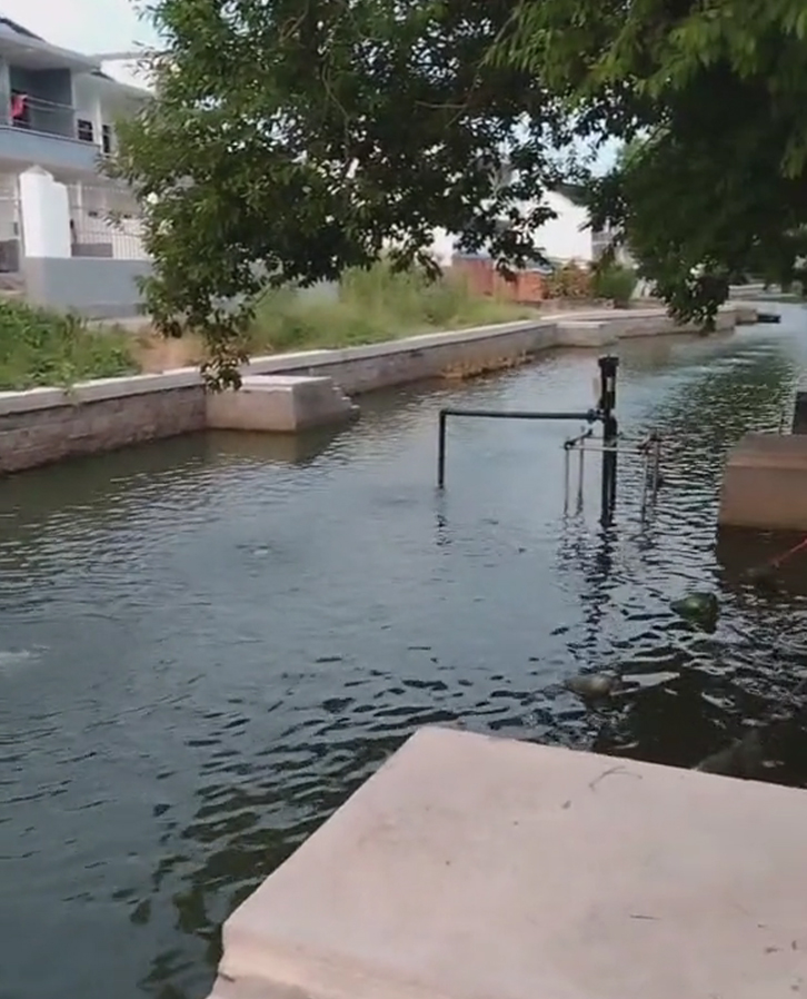 簡單展示沉水式羅茨鼓風機在河道曝氣增氧中的效果