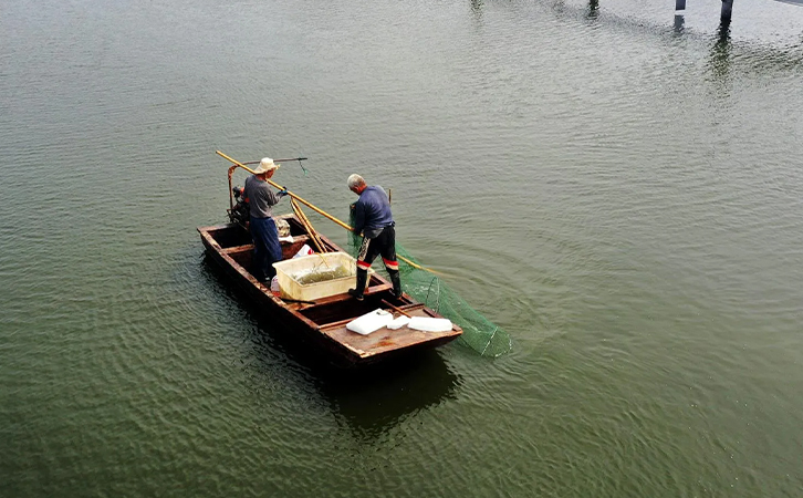 水產養殖降溫勢在必行