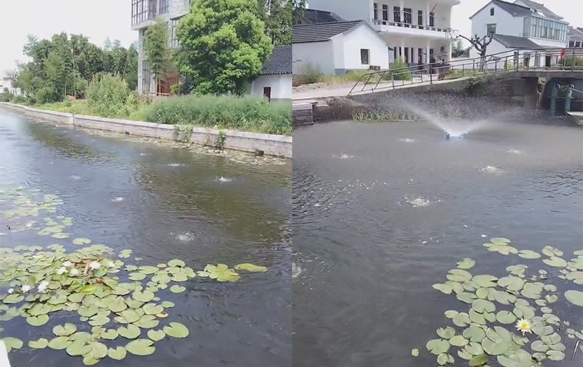 太陽能噴泉曝氣機