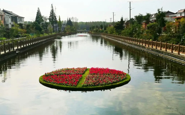 生態浮島水中花壇.jpg