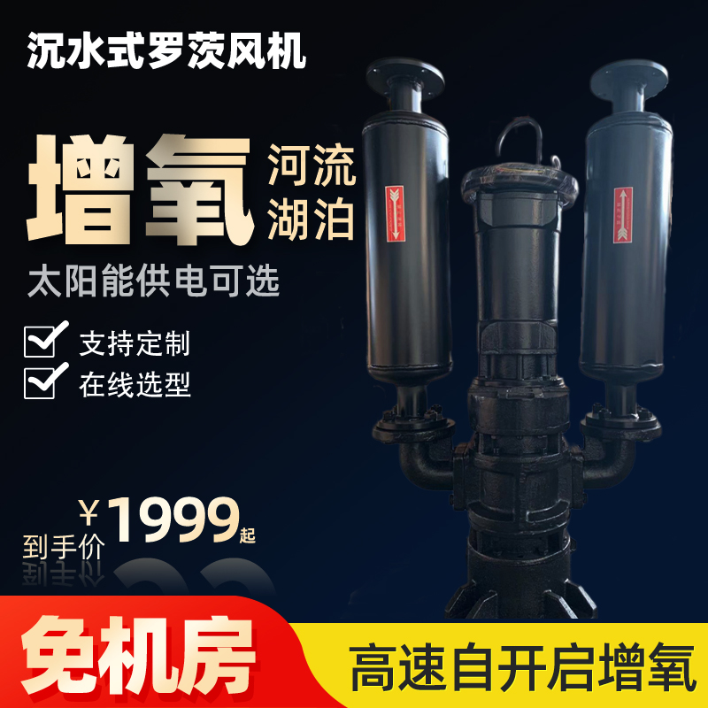 沉水式羅茨風機.jpg